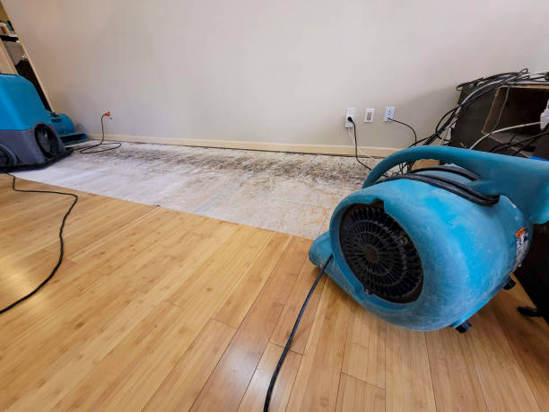 Professional Water Damage Repair technician working in Hollowville, NY